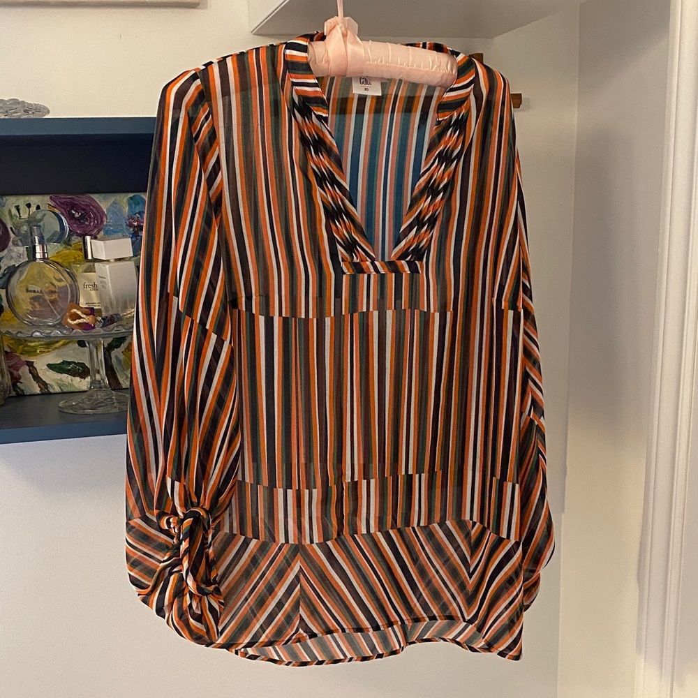 CAbi Multicolor Striped V-Neck Blouse
